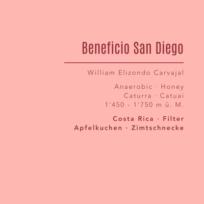 Beneficio San Diego - Costa Rica - Filter