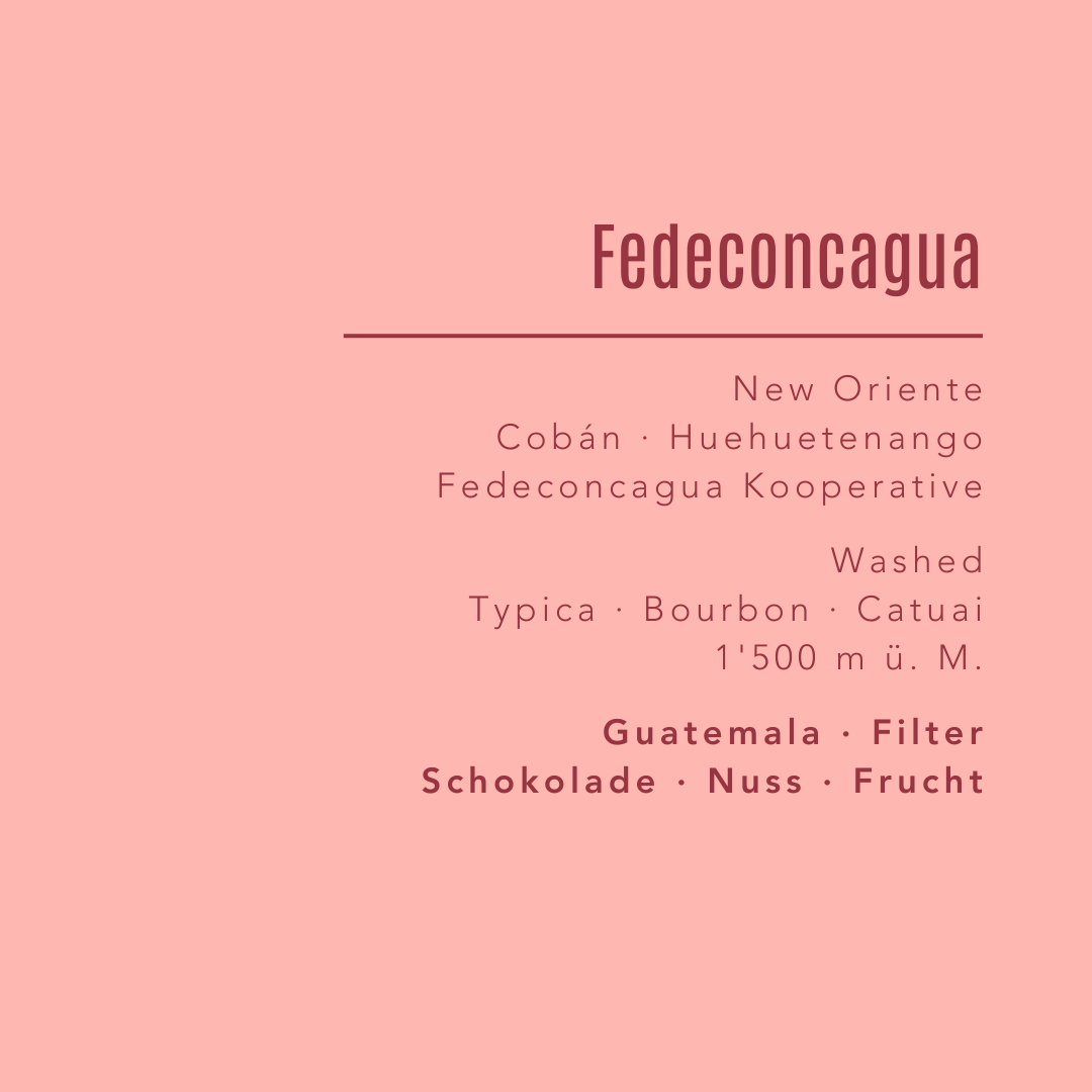 Fedeconcagua Kooperative - Guatemala - Filter