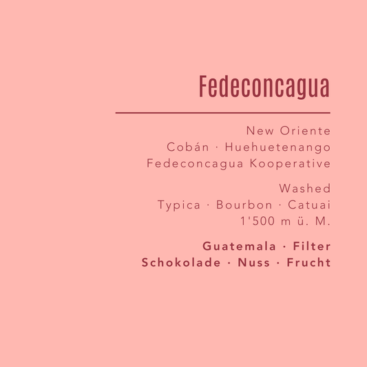 Fedeconcagua Kooperative - Guatemala - Filter